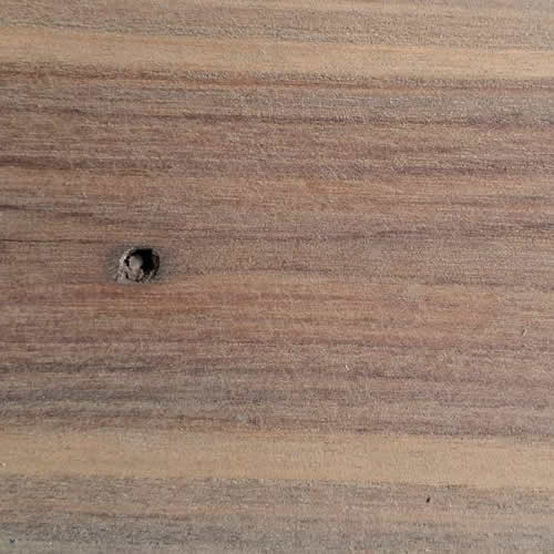 สักขึ้ควาย